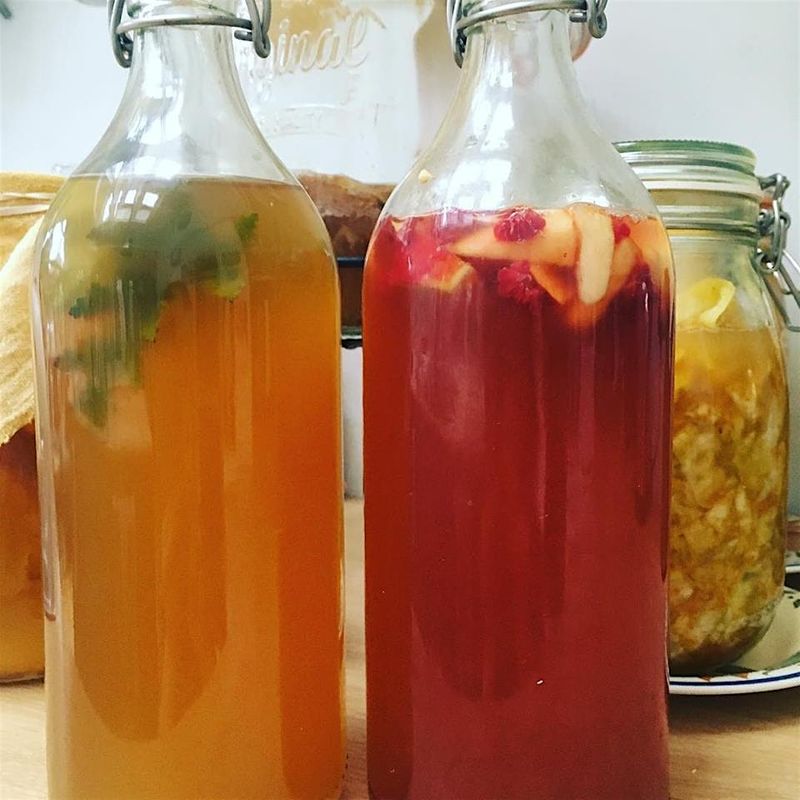 Crash course in kombucha brewing workshop - learn to make kombucha at home
