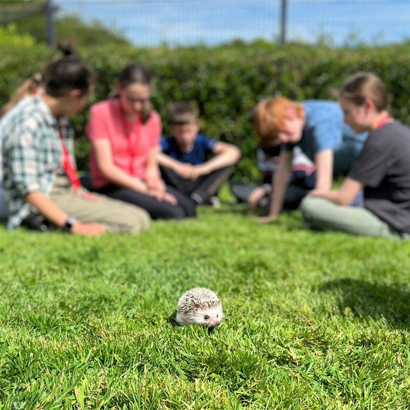 Easter Kids Camp at NSPCA Dublin