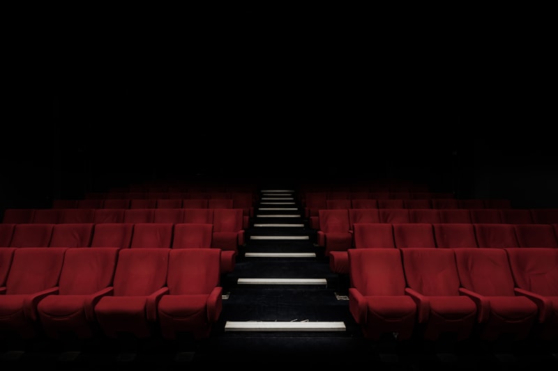 Cinema audience watching a film