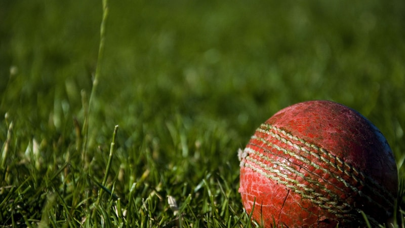Rugby match at Aviva Stadium Dublin