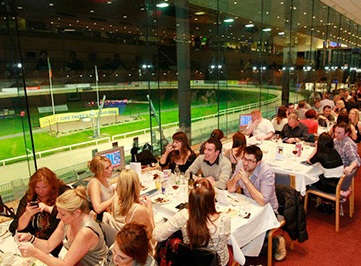 Shelbourne Park Greyhound Racing, Dublin Ireland