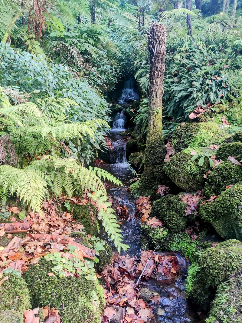 Microbiome resilience Across Environments: Outer Space to Livestock Health!
