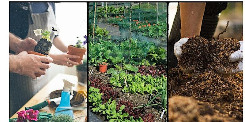 The Victorian Kitchen Garden Programme 2026 - 7 Workshop Series