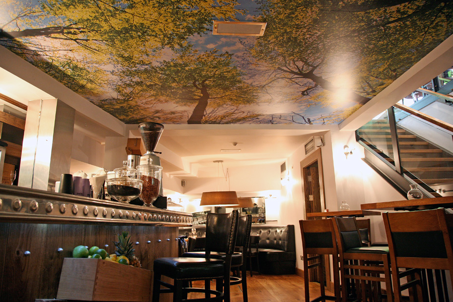 Rustic Stone Restaurant Dublin, Dublin Ireland